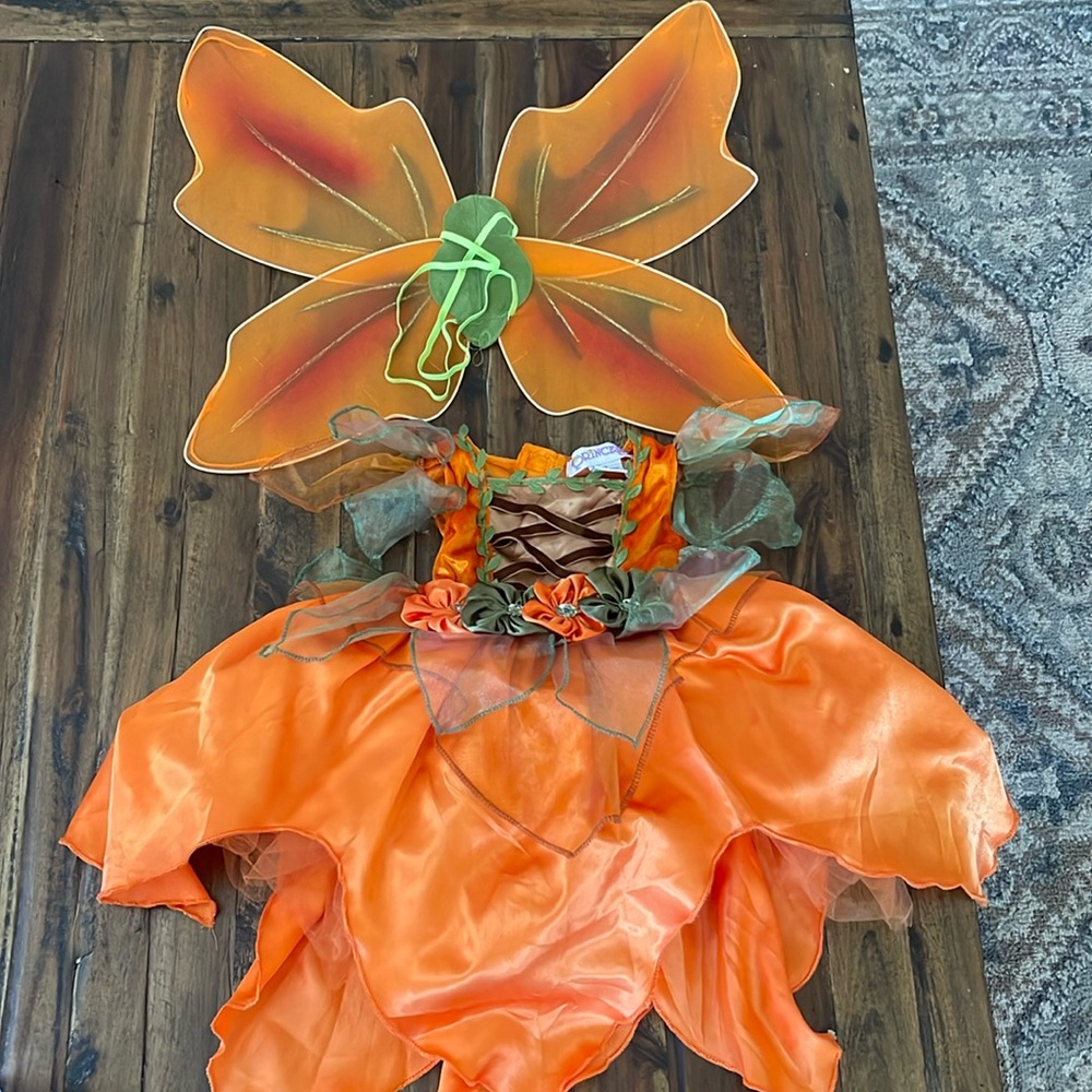 Toddler Fairy Costume
